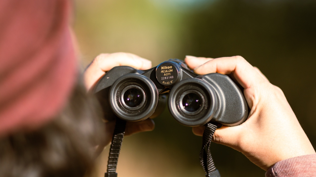 Nikon Aculon A211 8x42 Review