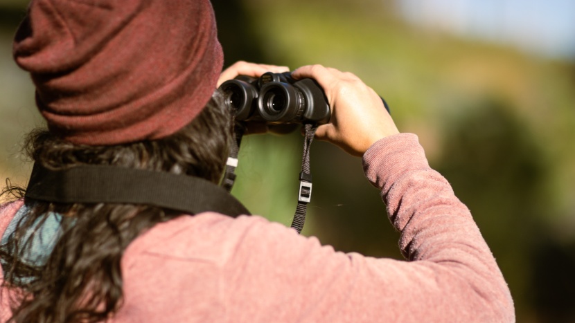 nikon aculon a211 8x42 - tha aculon a211 isn't quite as comfortable as the best models we...