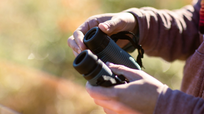 nocs provisions 8x25 waterproof - a short eye relief made adjusting this model for optimal viewing...