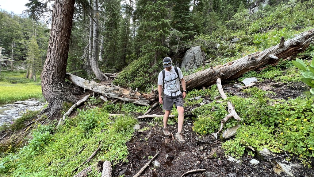 merrell moab 3 mid waterproof - this is a great overall hiking shoe. it is inexpensive and very...