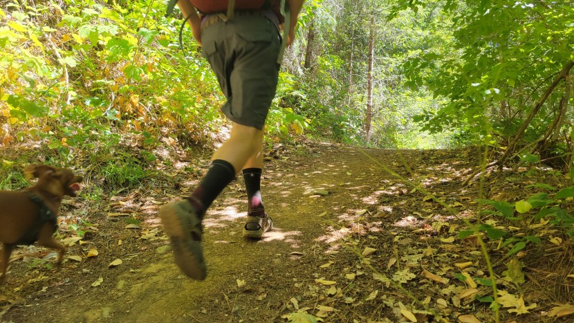 hiking socks - the smartwool performance light hike cushion didn't score highest in...