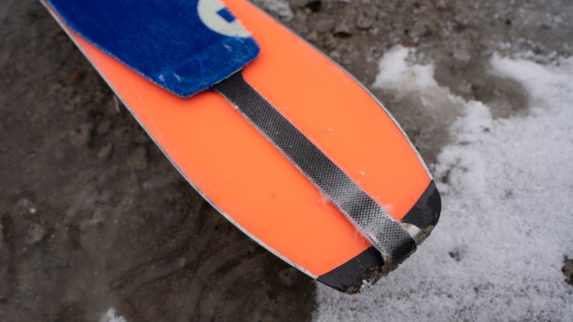 colltex clariden - the non-stretchy vinyl tail strap does the job, but we wish the cam...