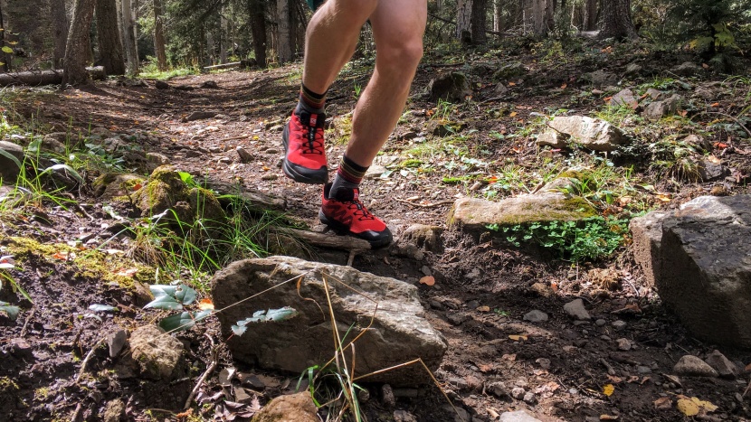 salomon pulsar trail - easily one of the more stable shoes we've encountered in a while...