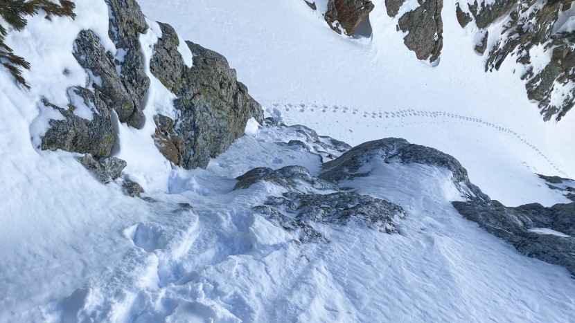 movement race pro 77 - when the climbing is as big a part of the experience as the skiing...