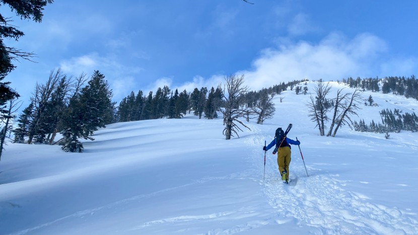 dynafit blacklight pro - compared to "normal" backcountry skis, you will hardly notice the...