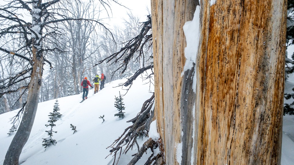 elan ripstick 106 - in tougher snow conditions, as in this storm that ended a long...