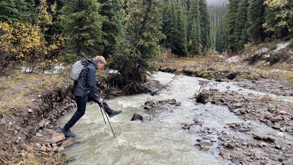 trekking poles - we use trekking poles almost everyday, finding that they make life a...