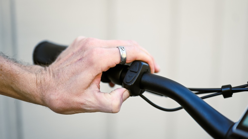 kbo ranger - the controller on the left of the handlebar controls pedal assist...