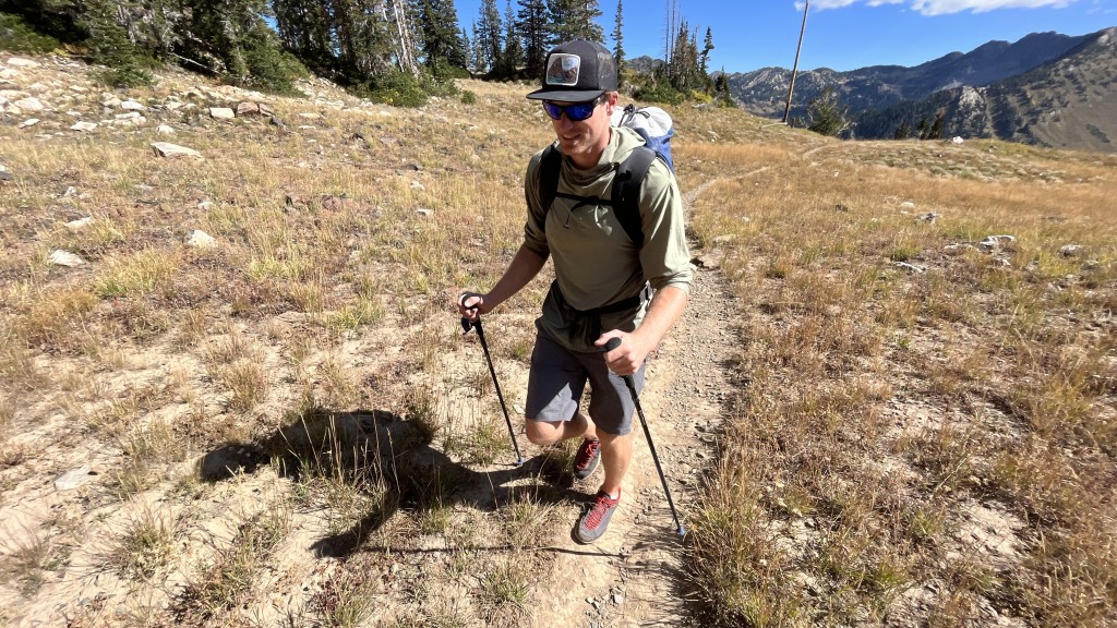 black diamond distance z - the black diamond distance z is a durable pole for fast hikes and...