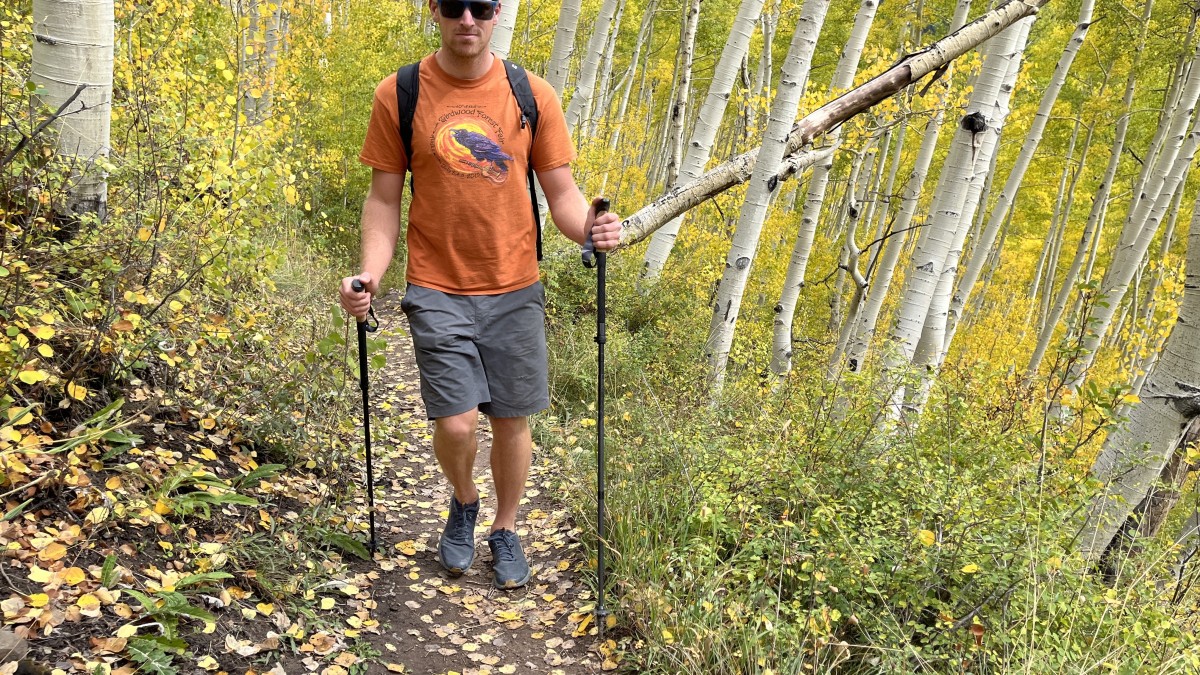 Leki Black Series FX Carbon Review (The FX Carbon during testing on a fall hike. We like these poles a lot, but they're just not worth the price.)