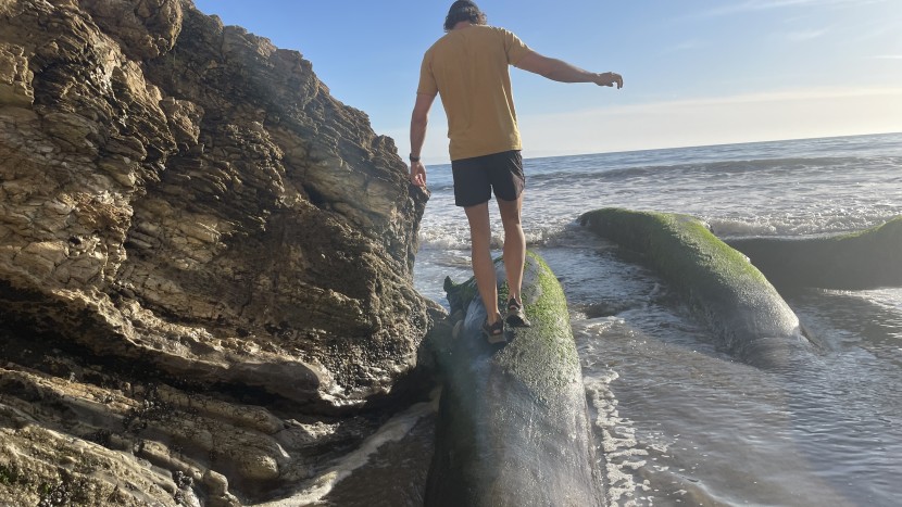 from oceans to rivers, lakes, and streams, we put these shoes to the...