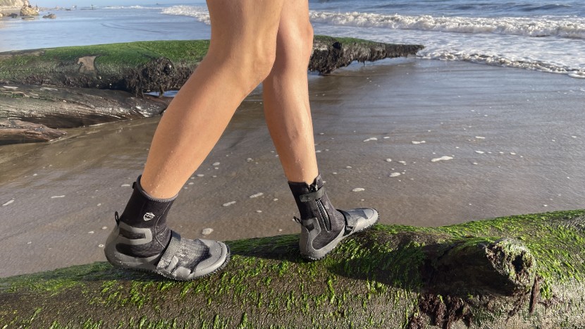 even on slimy wet logs and rocks likely on the banks of rivers, the...