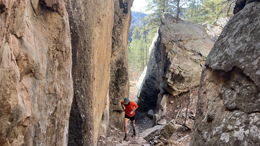 garmin forerunner 955 - the forerunner 955 is made for running with its ultra lightweight...