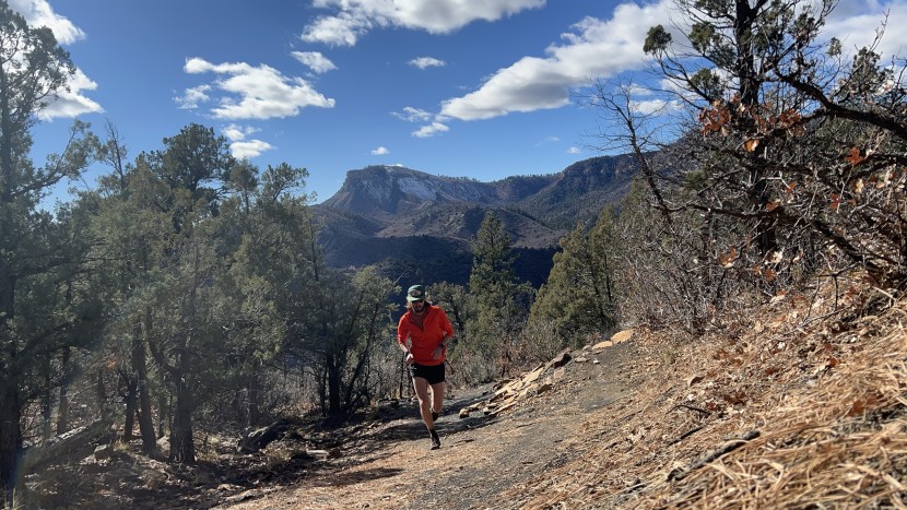 garmin forerunner 955 - the garmin forerunner 955 is made for all types of runners. we...