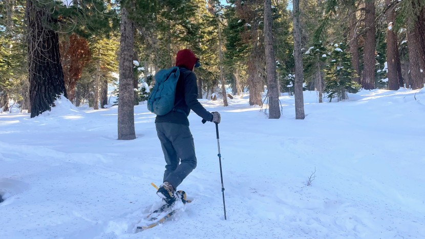 testing the montane on a walk in the woods.