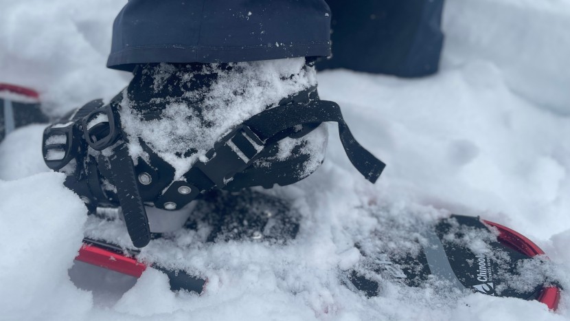 chinook trekker - the nylon heel strap with it's side-squeeze buckle is not our...