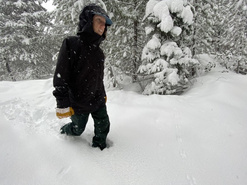 we trudged through the most recent storm's offerings to get a feel...