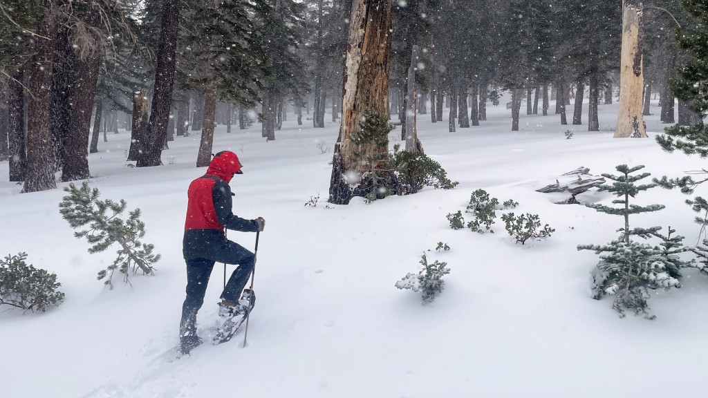 msr evo ascent - the evo ascent is a reliable snowshoe for setting off into the...