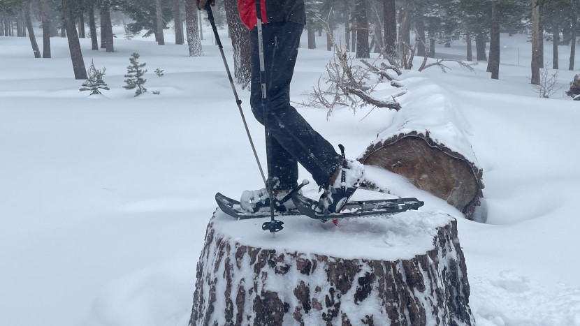 msr evo ascent - the evo ascent model provides good traction on all sorts of surfaces.