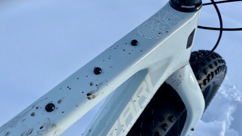 along with bosses on the down tube and seat tube, there's a 3-pack...