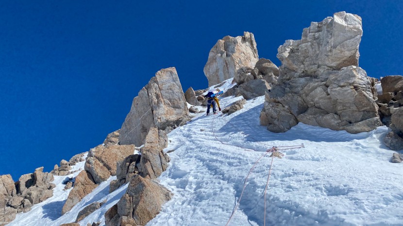 atk trofeo - race bindings like the atk trofeo are integral to modern "ski...