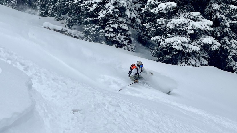 the sentinel is an excellent pick for powder hounds and fun hogs...