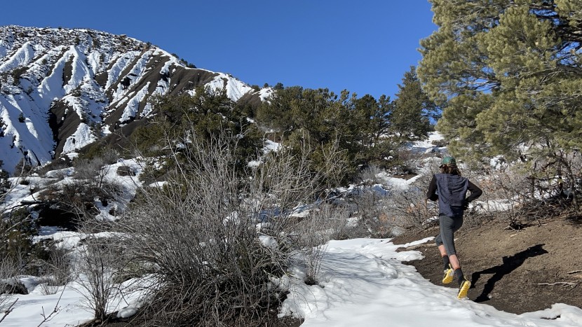 coros apex pro 2 - with roughly 75 hours of gps tracking, this watch leads in the 47mm...