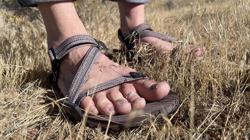 xero z-trail ev for women - love spending summers barefoot but sick of getting splinters? us...