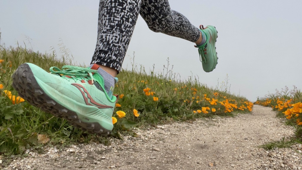 saucony peregrine 13 for women - short, gravelly runs amid blooming fields of flowers are best...