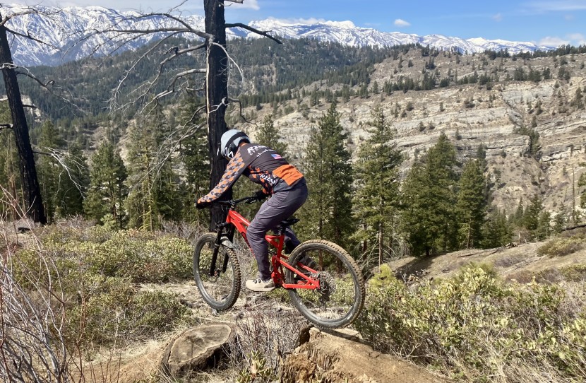 fox union boa - we love the fox union shoes for all gravity-fed endeavors.