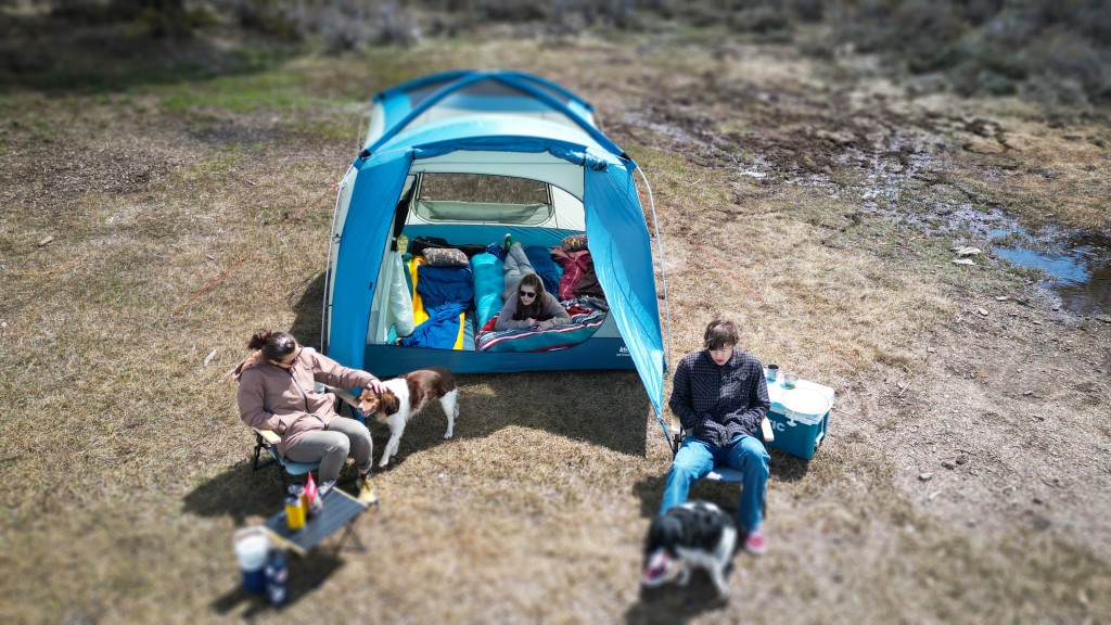 rei co-op skyward 4 - the skyward 4 fits the entire family, the furry ones too.