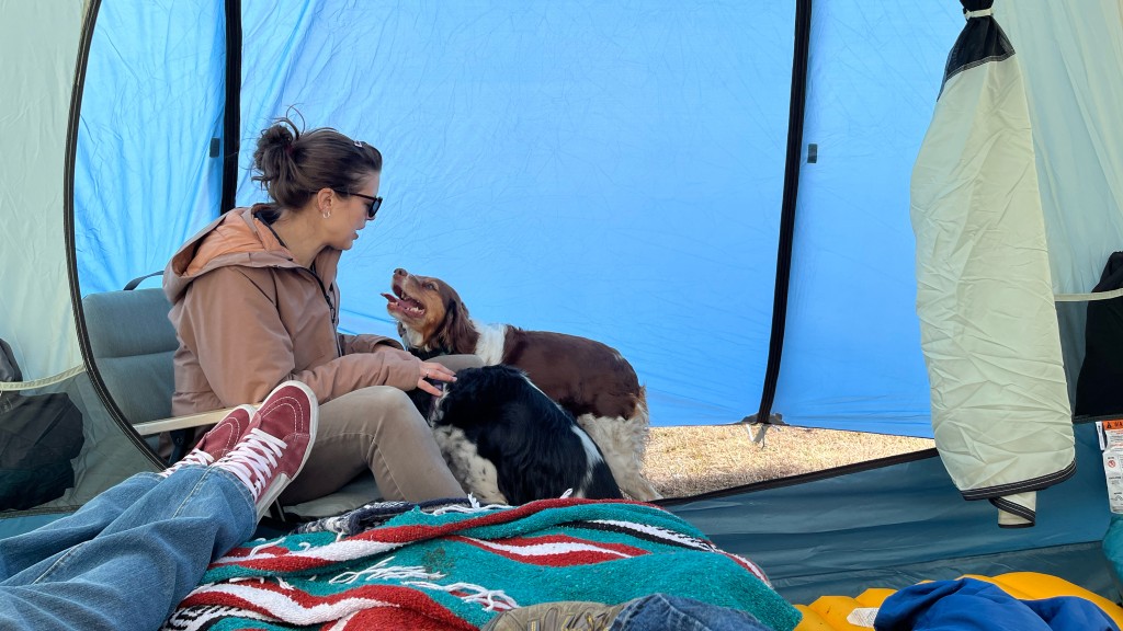 rei co-op skyward 4 - even with the rainfly fully closed, two dogs, a mom, and some gear...