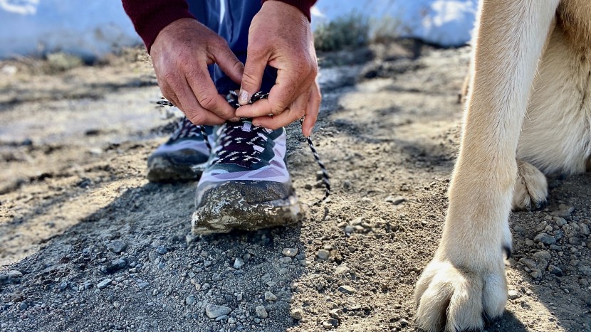 merrell moab speed for women - unfortunately the lightweight design and mesh-enclosed lacing system...