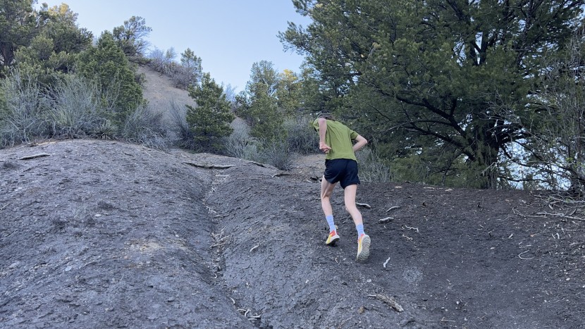 salomon sense ride 5 - lacking almost any sensitivity, we'd recommend sticking on easy...