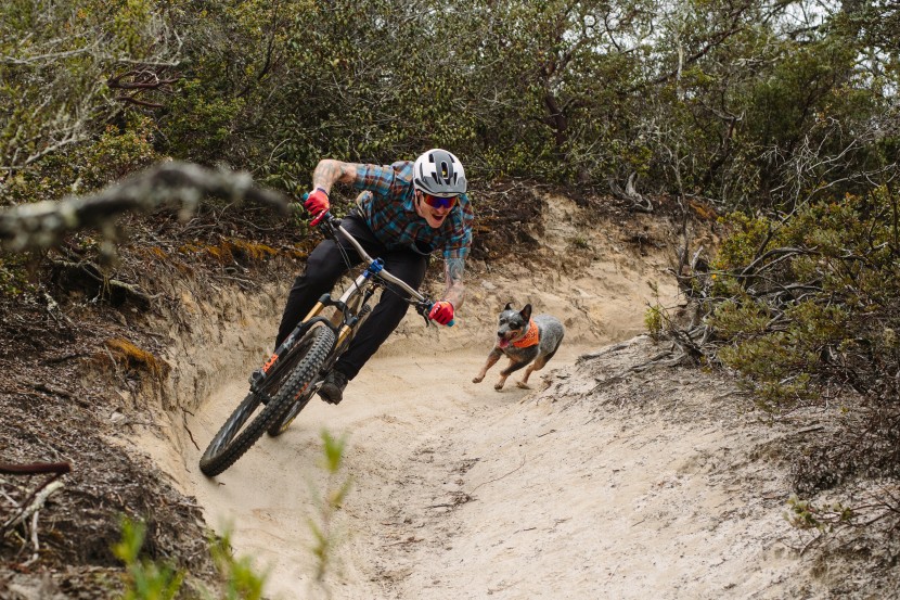 cycling sunglasses - when taking on the steep downhills, a pair of sunnies with coverage...