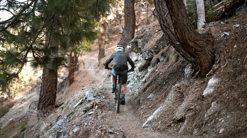 trek fuel ex 9.8 gx axs gen 6 - we could climb all day on this bike.