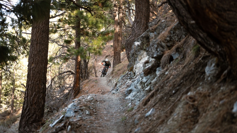 trek fuel ex 9.8 gx axs gen 6 - carving up fun trails is what the new fuel does best.