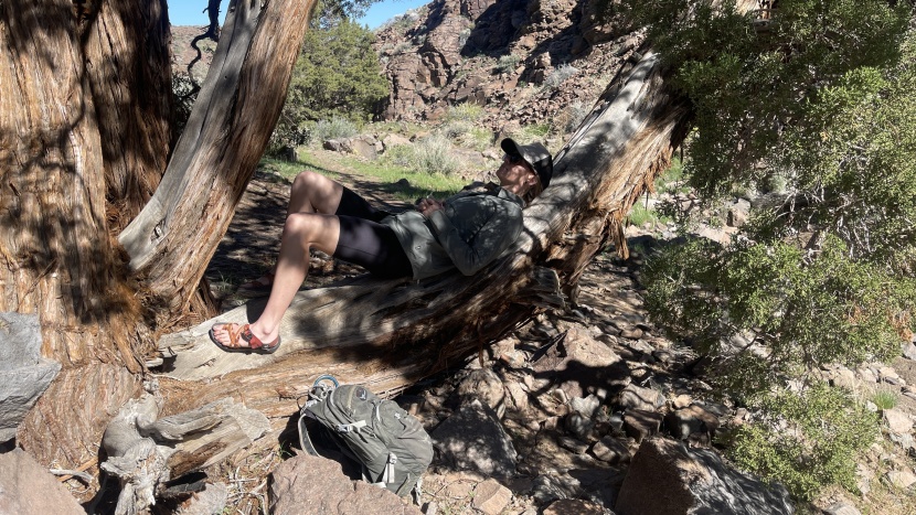 sun shirt womens - the sahara long sleeve is a very comfortable hiking and hanging...