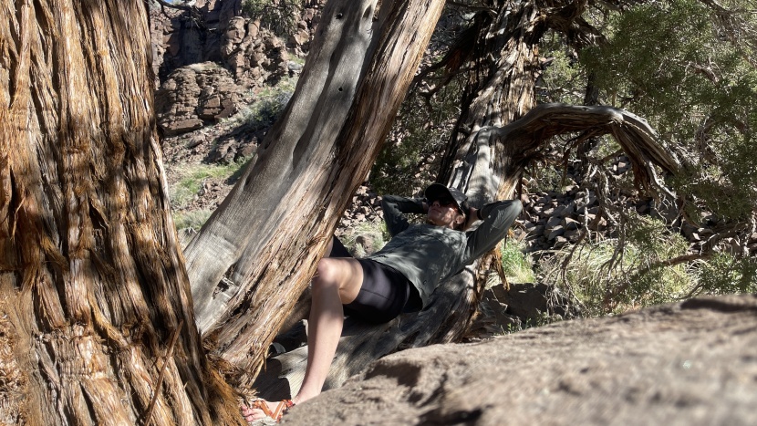 rei co-op sahara long-sleeve for women - the sahara is a favorite shirt for exploring and traveling, because...