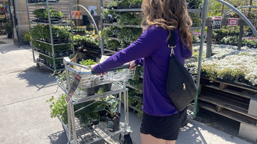 mountain hardwear crater lake long sleeve hoody for women - from the plant nursery to the garden, the crater lake hoody can keep...