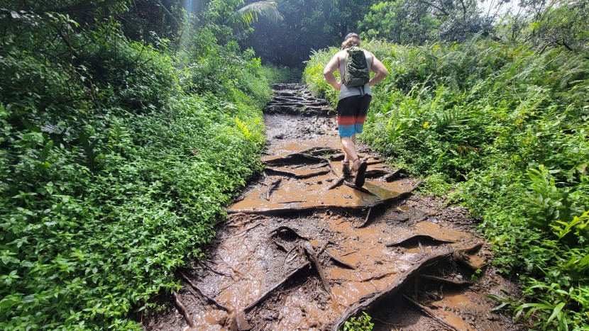 our hiking socks testers took the contenders to various climates to...