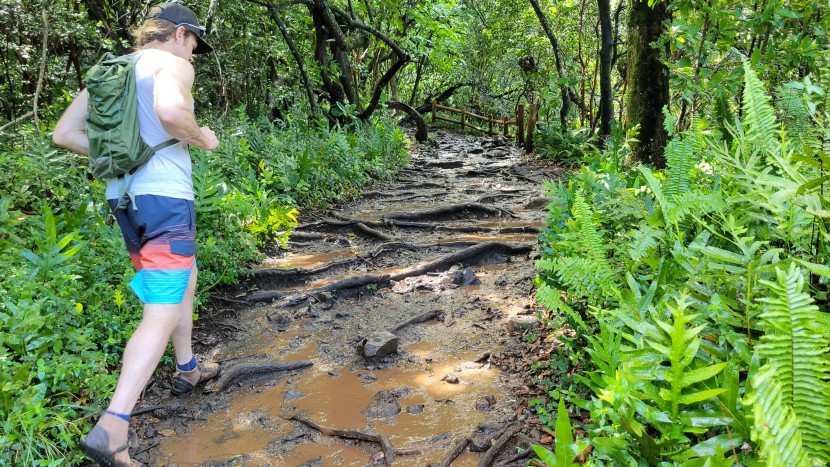 hiking socks - putting the darn tough quarter cushion to the test in hot, wet...