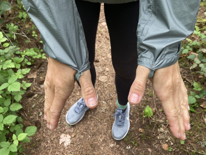 budget rain jacket womens - thumb loops on the sierra designs microlight 2.0 keep the sleeves...