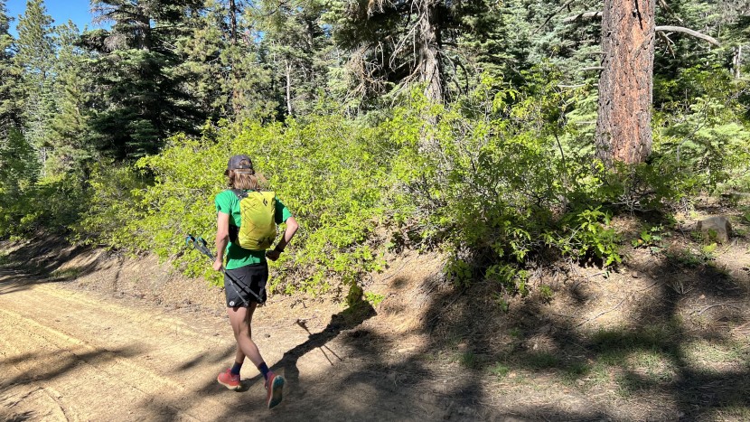 hydration pack for running - the black diamond distance 15 is a 15-liter pack with plenty of...