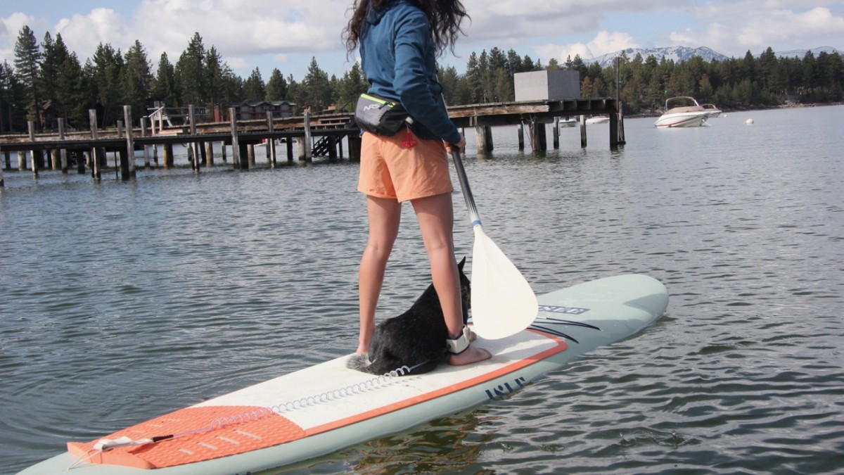 Isle Versa 2.0 Review (The Versa 2.0 is stable enough to accommodate a smaller paddler with a small dog. We can guarantee they will sit as...)