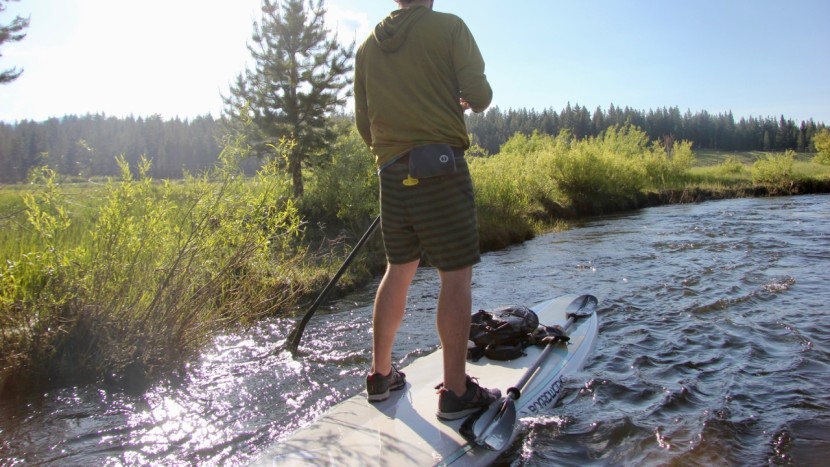 boardworks kraken - the kraken scored highly across the metrics, despite not winning an...