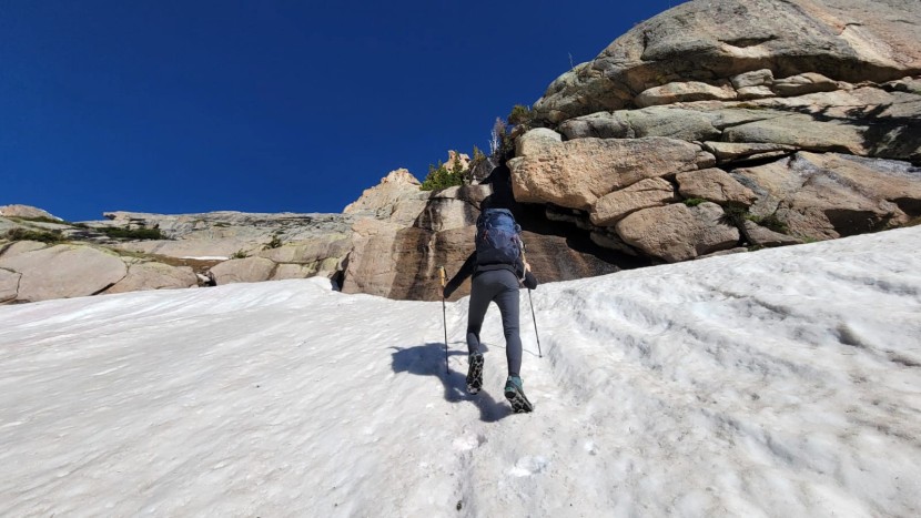 leki cressida fx carbon - the cressida poles feature burly locking mechanisms that you can...