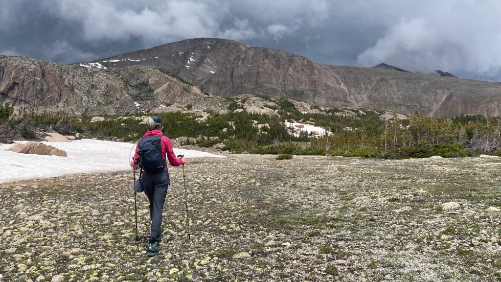 leki cressida fx carbon - the compact and lightweight cressida fx carbon poles are perfect...