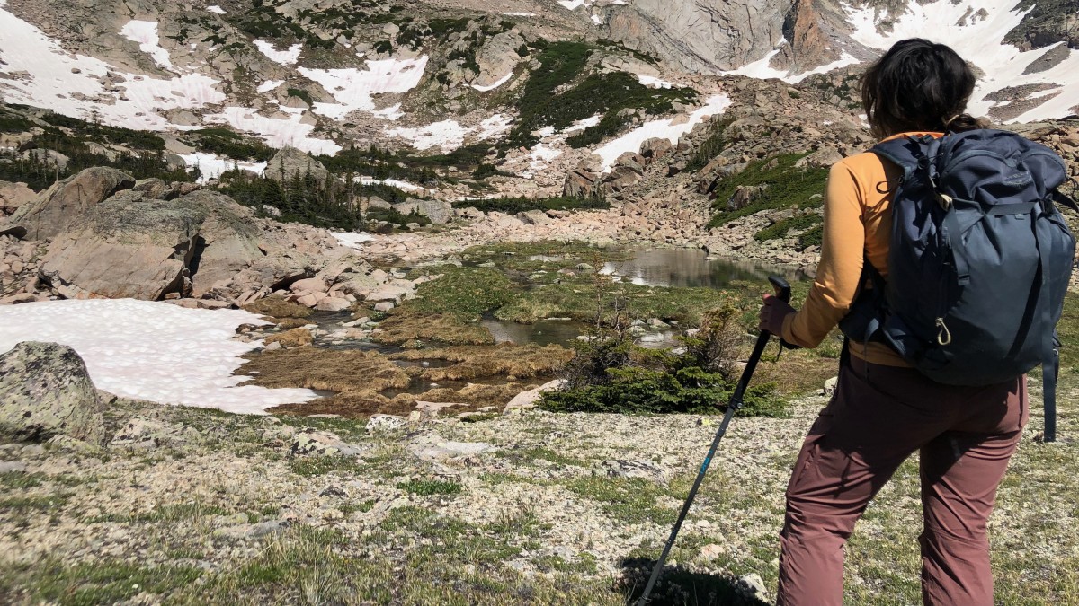 Leki Jannu FX TA Review