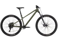 budget mountain bike